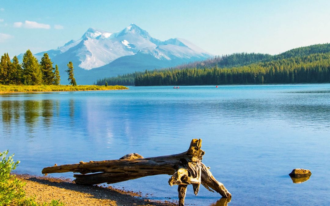 Des prairies et montagnes jusqu’à l’océan: Pacific Marine Circle Route